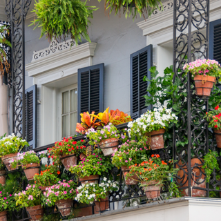Balcony covered in flowering plants